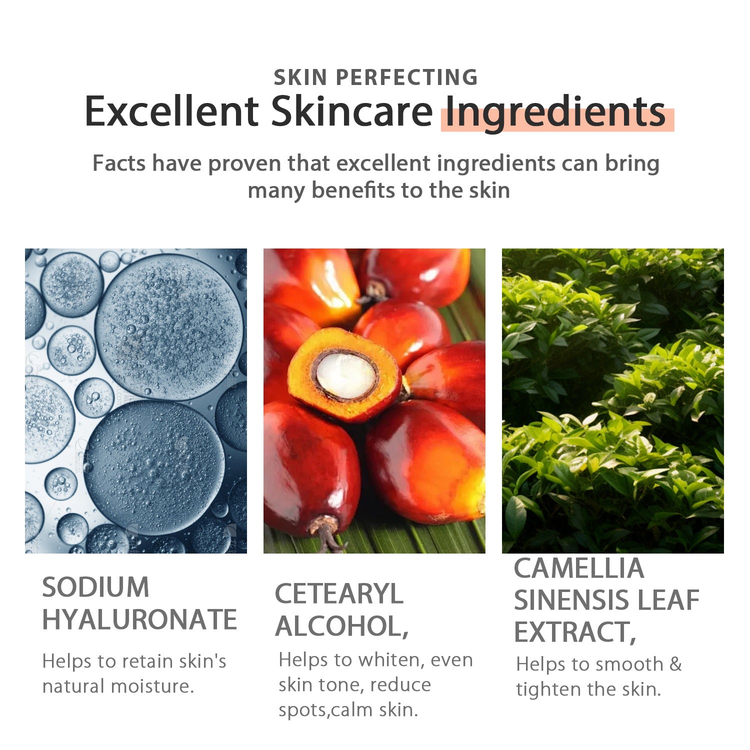 Day Cream Moisturizing